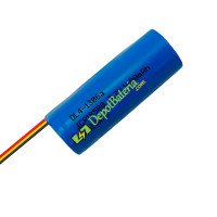 Bateria para PLC ICR18500 DL4-1306a Bateria de reposição